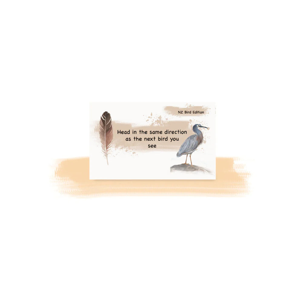 Getting Lost | NZ Bird Edition