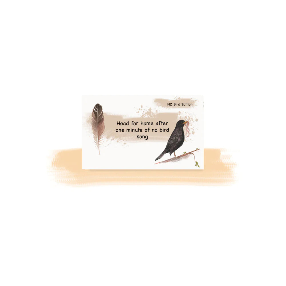 Getting Lost | NZ Bird Edition