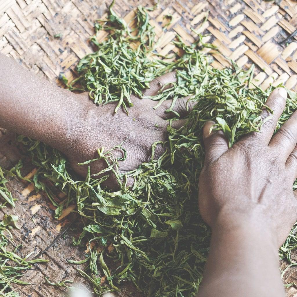 Picker's Pocket | Earl Grey