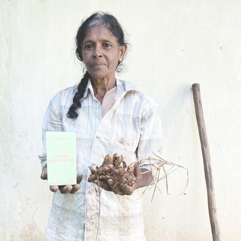 Picker's Pocket | Ginger Lemongrass