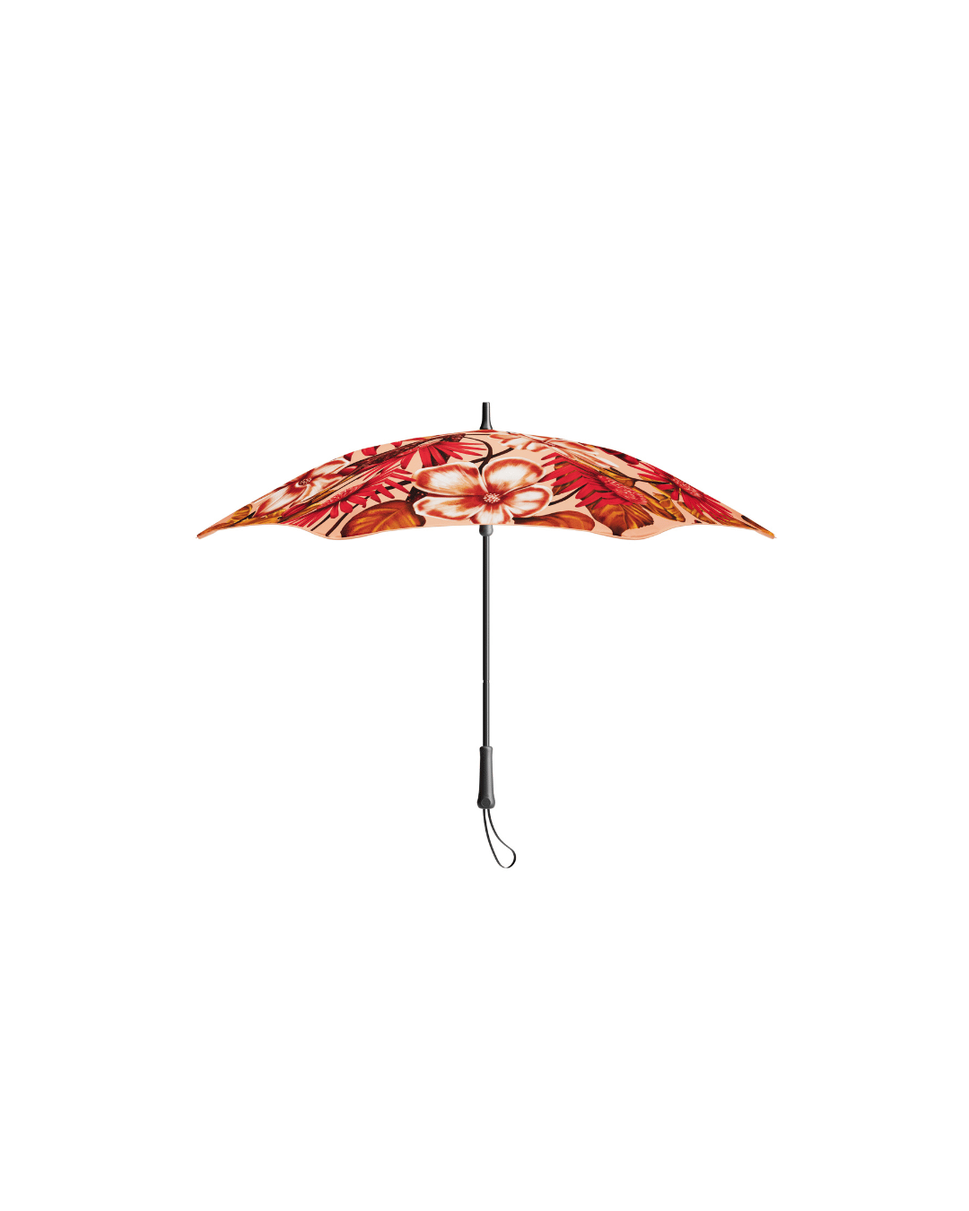 Blunt | Limited Edition | Kelly Thompson