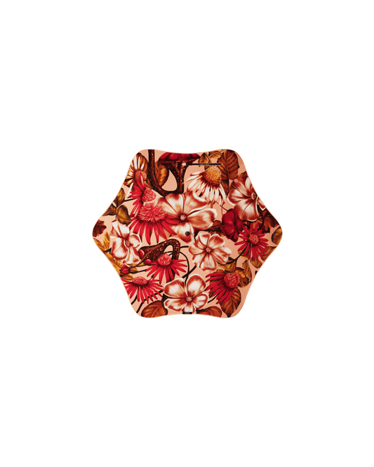 Blunt | Limited Edition | Kelly Thompson