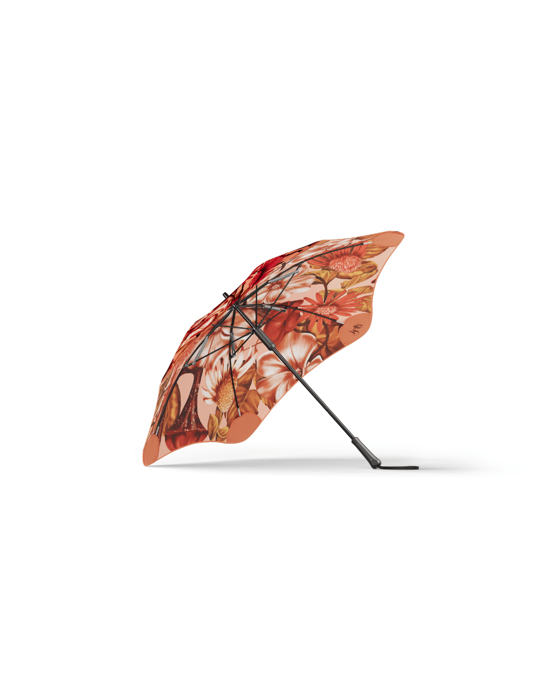Blunt | Limited Edition | Kelly Thompson