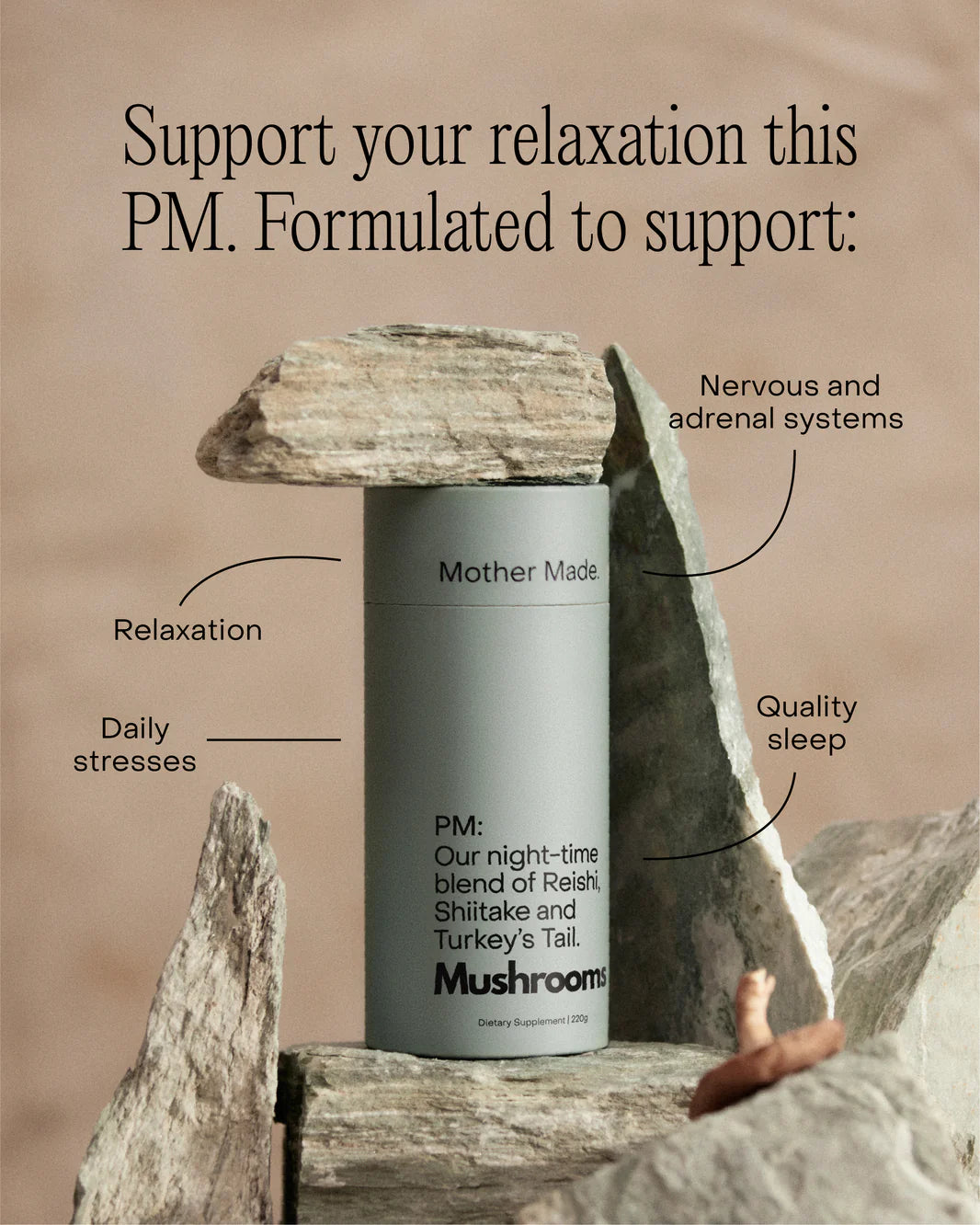 Mother Made | Mushroom Powder | PM