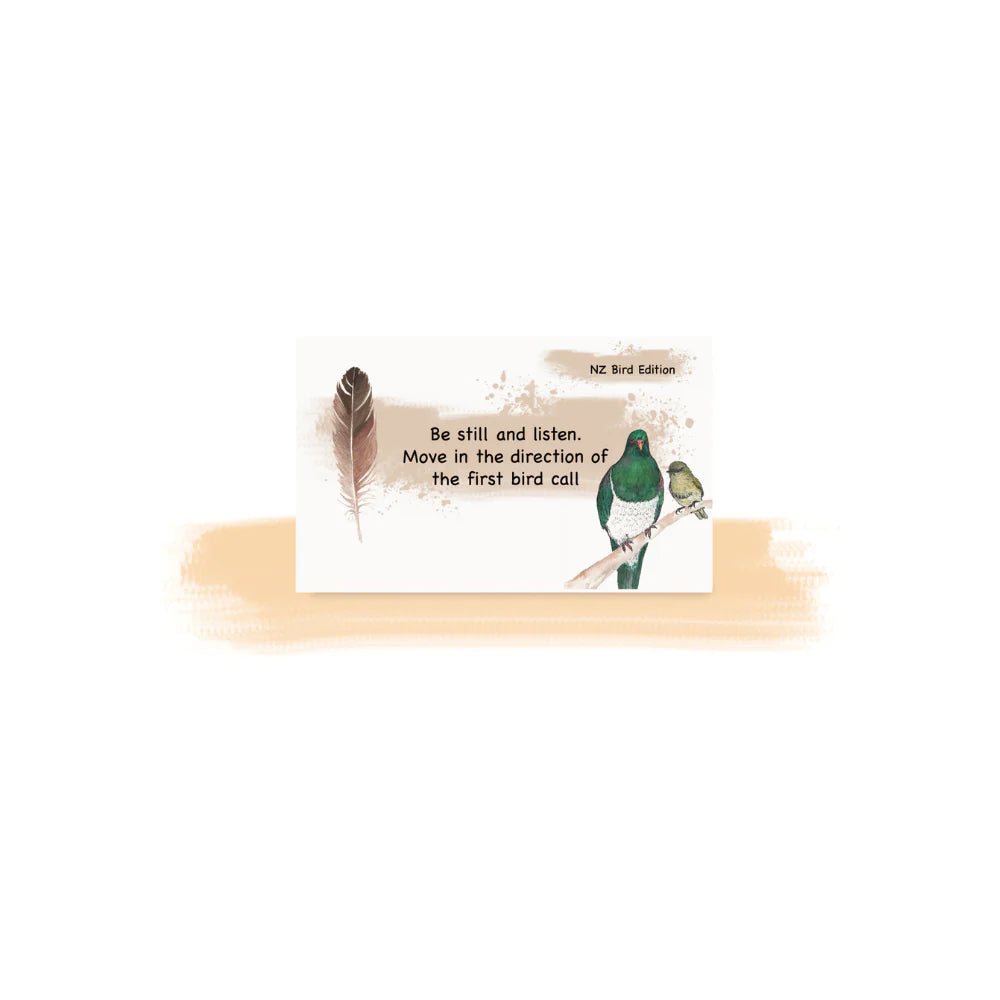 Getting Lost | NZ Bird Edition